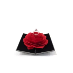 delphine ring box grey opening