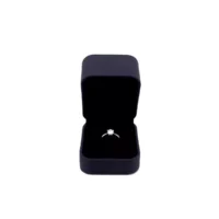 Stella Ring Box in blue opening
