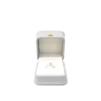 posie ring box in grey opening