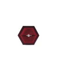 weylyn ring box in Mahogany Red opening