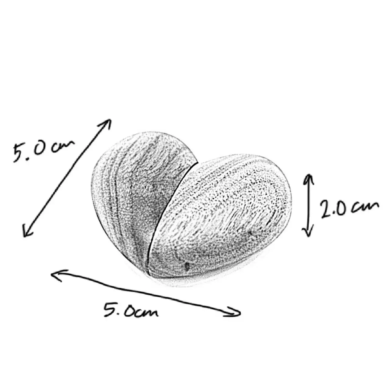 Layla ring box dimensions