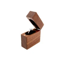 orion ring box one ring slot opening
