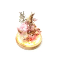 flora flower dome with LED lights