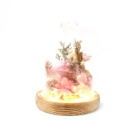 flora flower dome with LED lights