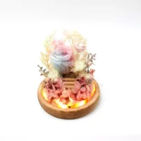 flora flower dome with blue pink preserved rose front view with LED lights