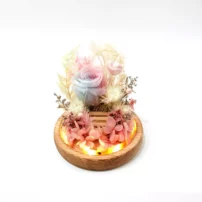 flora flower dome with blue pink preserved rose front view with LED lights