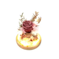 flora flower dome with red preserved rose and LED lights