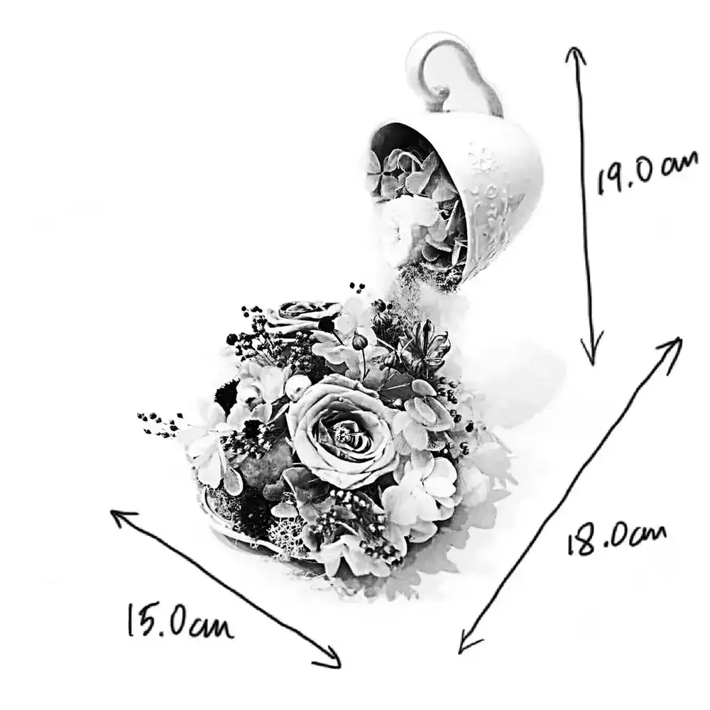 ivy stand dimensions