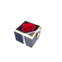 Rhodon Ring Box Opening