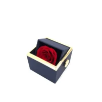 Rhodon Ring Box Rotating