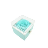 rhodon ring box in turquoise ide view