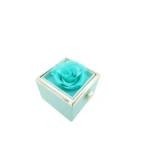 rhodon ring box in turquoise open cover
