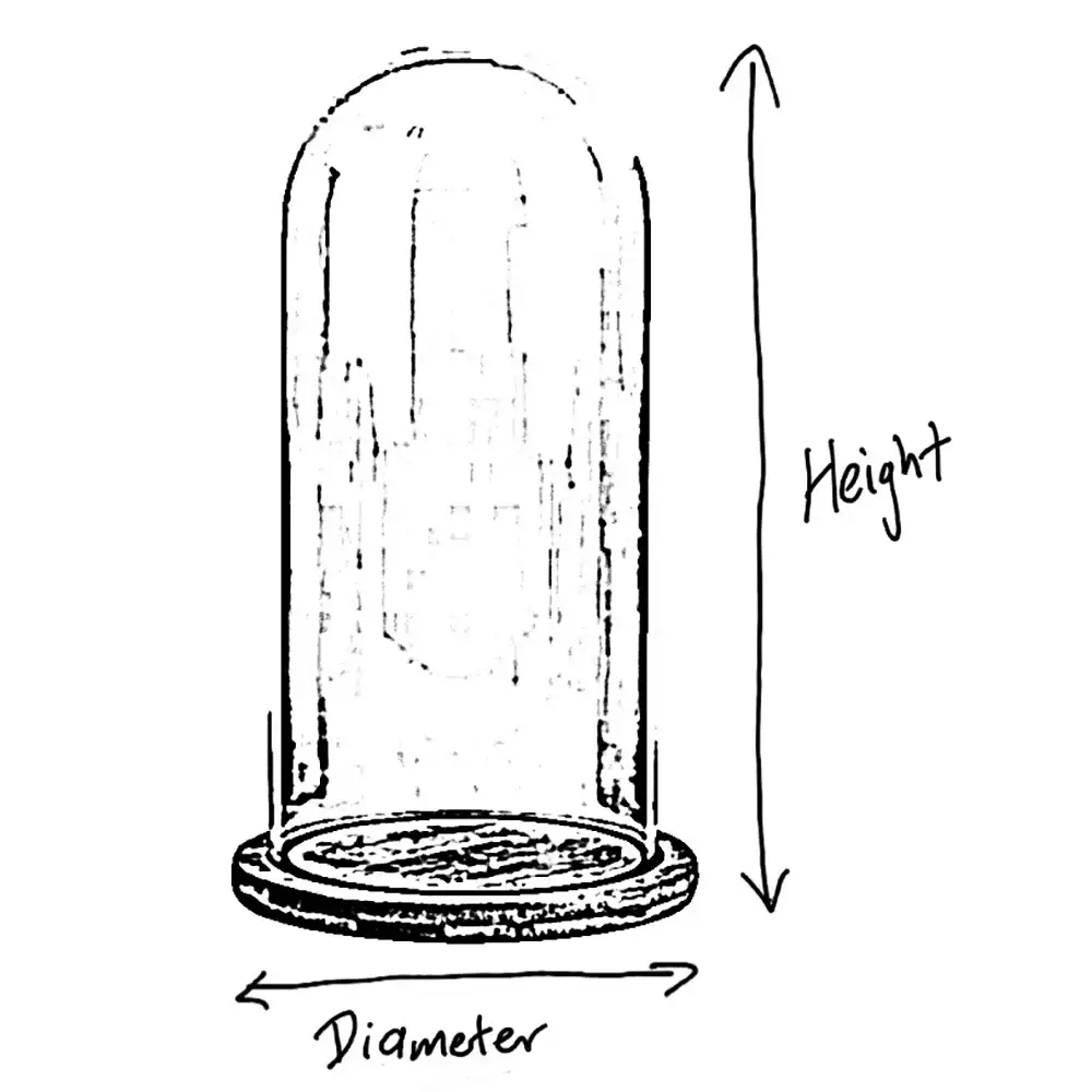 Bliss Flower Dome Dimensions