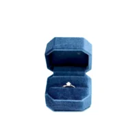 Vikki Ring Box in Blue Opening