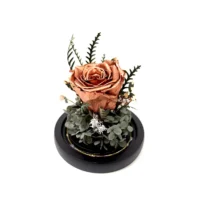 isla flower dome in bronze preserved flower
