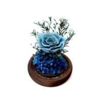 isla flower dome in navy preserved flower