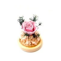 isla flower dome in pink preserved flower