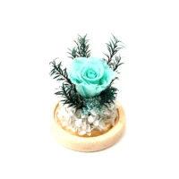 isla flower dome in tiffany preserved flower