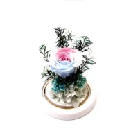 isla flower dome in tri-blend colour preserved flower